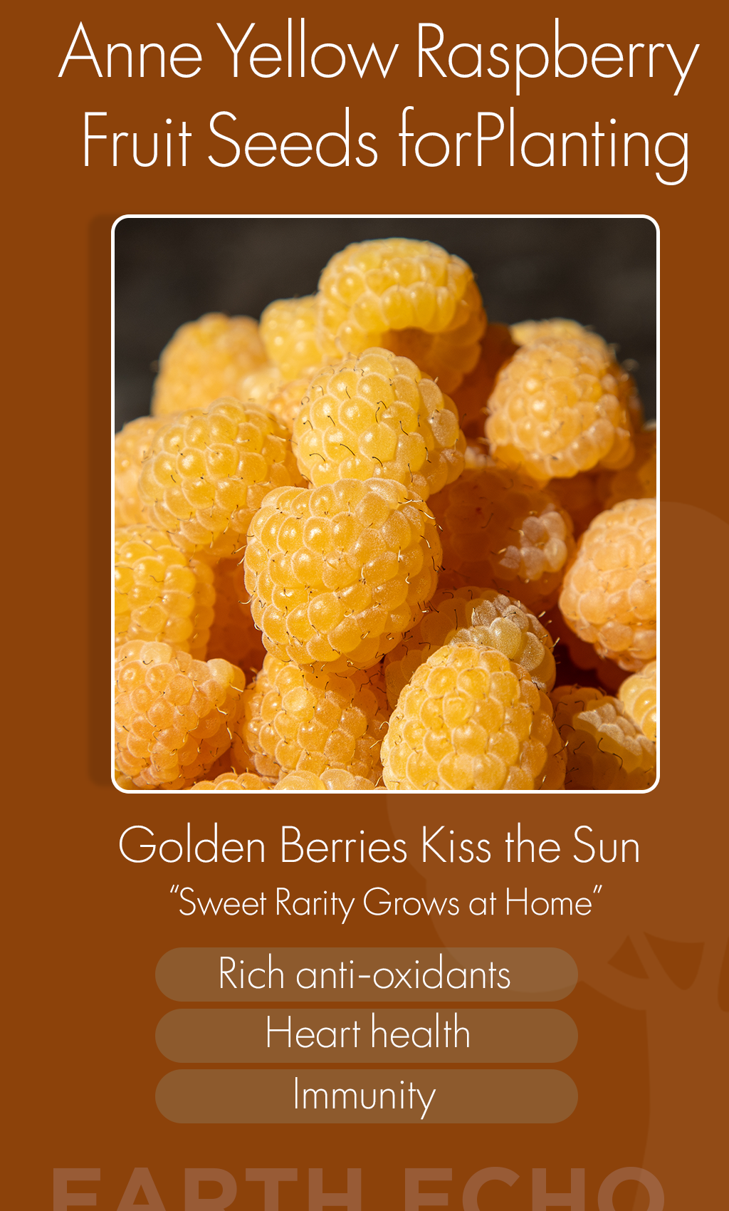 Grow Sunshine at Home: RARE Anne Yellow Raspberry Seeds for a Healthier Winter Garden