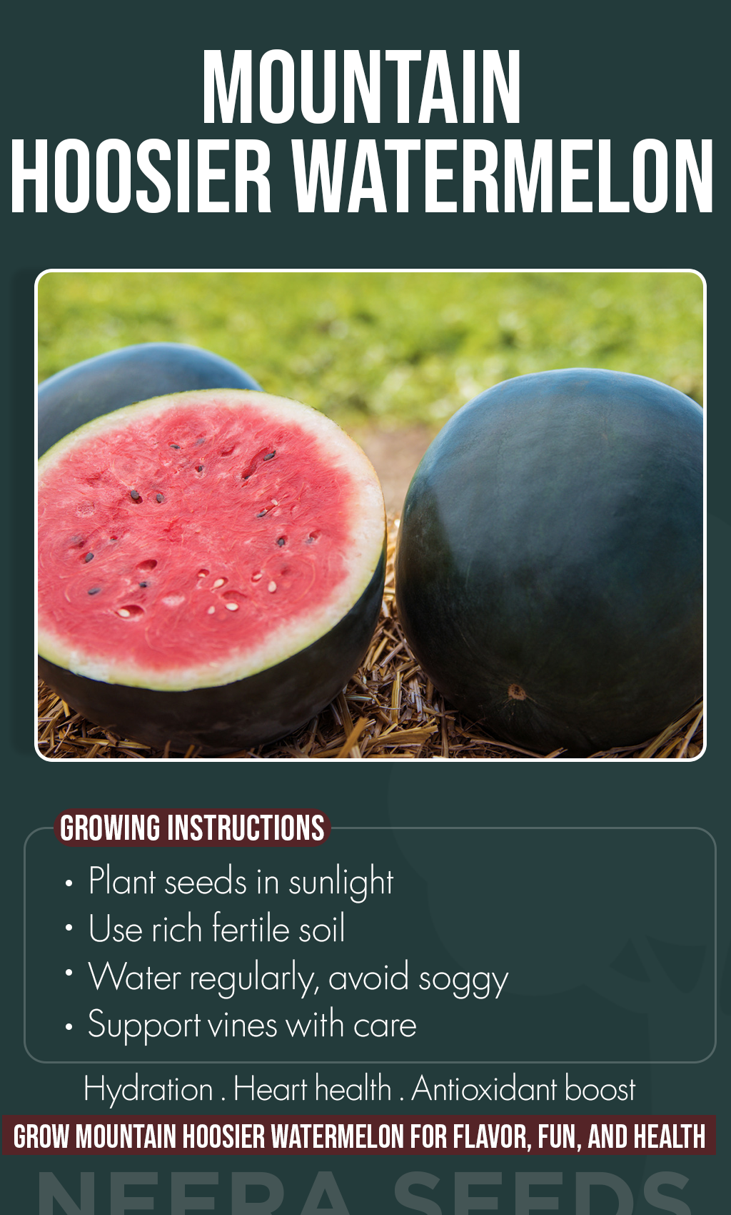 Grow Sweet Summer Memories This Winter: Mountain Hoosier Watermelon from Seed