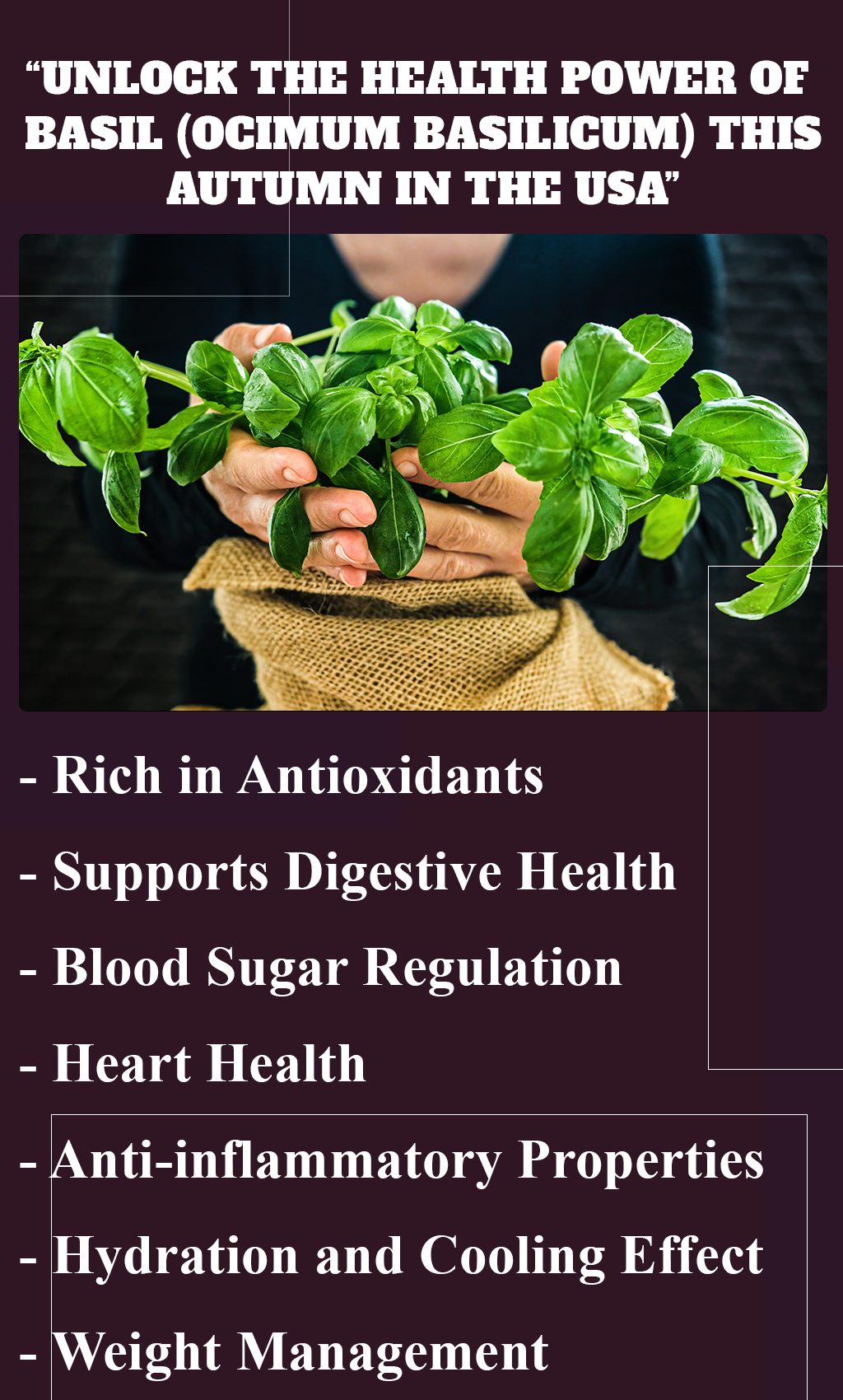 Unlock Autumn Wellness: 5 Surprising Health Benefits of Basil (Ocimum basilicum)