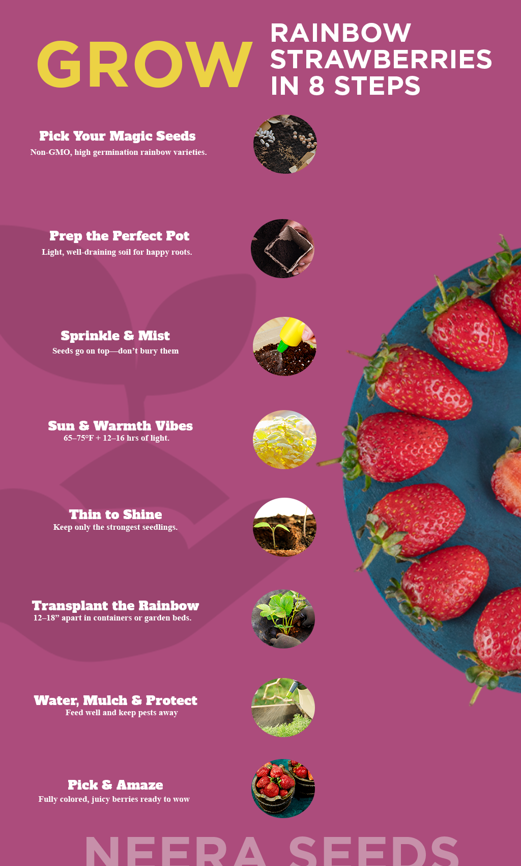 How to Grow Rainbow Strawberries: A Colorful Treat for Your Garden