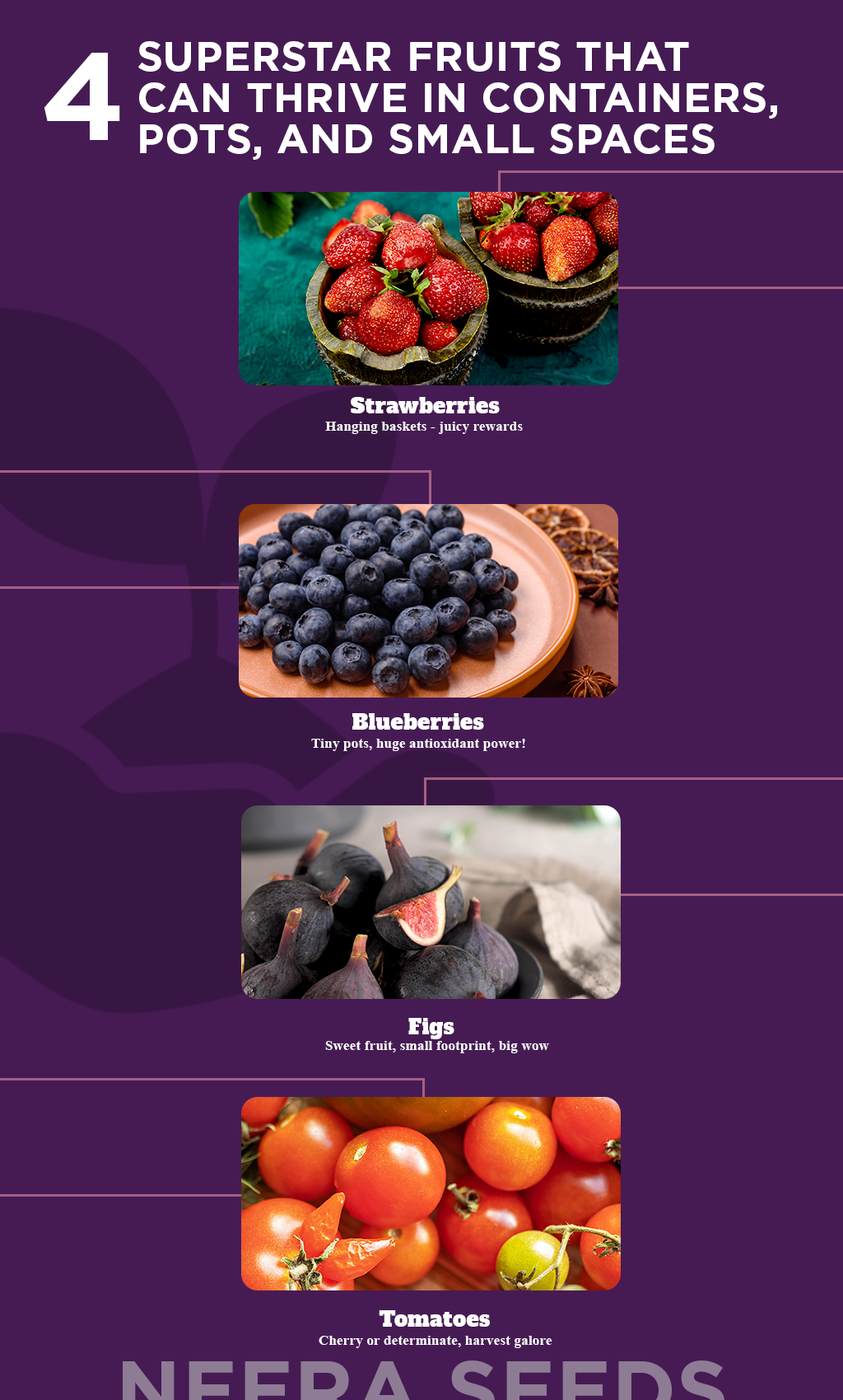 4 Superstar Fruits That Thrive in Small Spaces – Perfect for Containers & Urban Gardens!