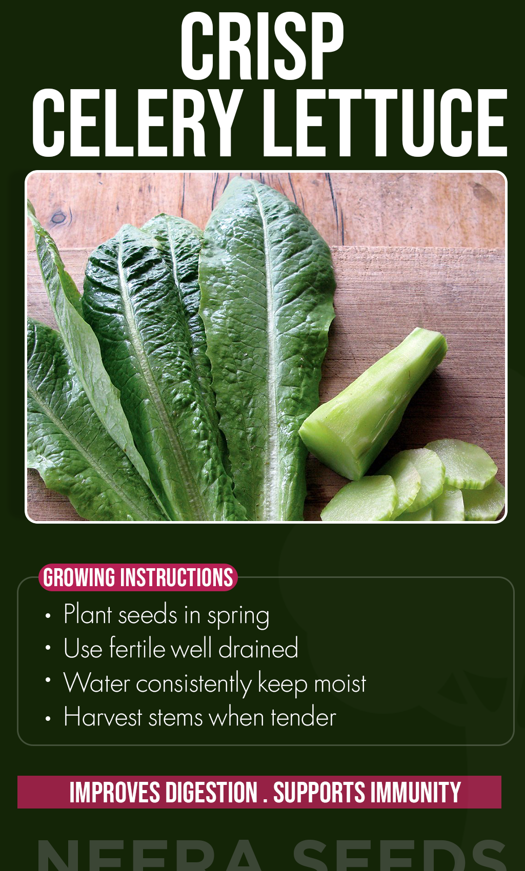 From Garden to Summer Table: Grow Crisp & Flavorful Celtuce at Home