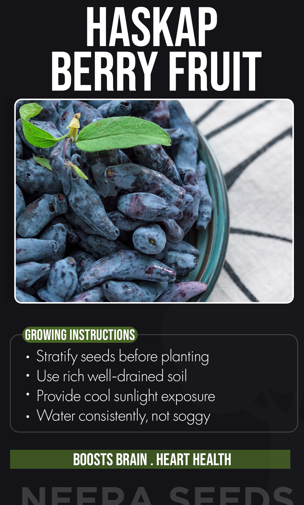 Grow the Taste of Wild Summer: Haskap Fruit Seeds for a Thriving Berry Garden