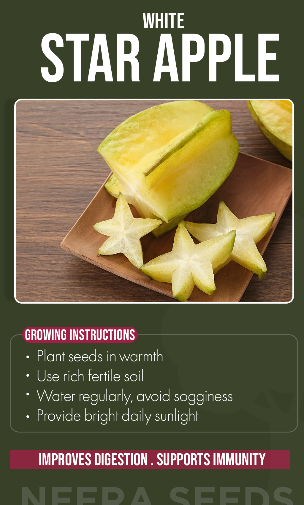 Grow Tropical Sweetness at Home: White Star Apple Seeds for a Delicious Summer Harvest