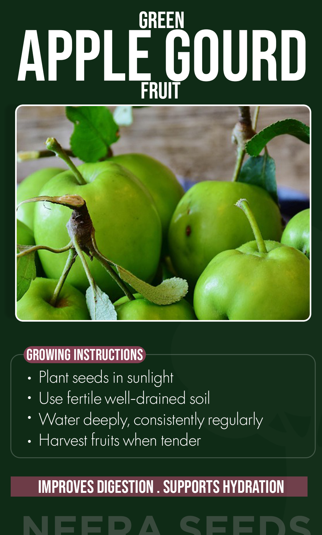 Grow Something Extraordinary This Summer: Green Apple Gourd Seeds for a Unique Home Garden Harvest