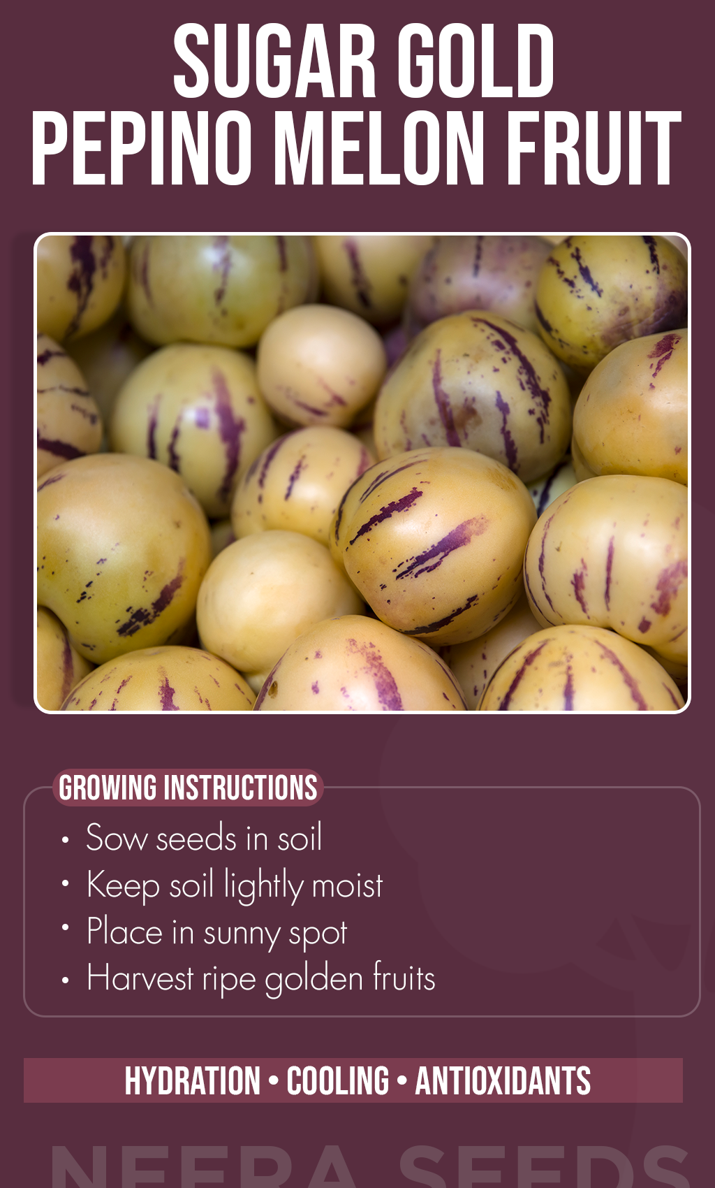 Sweeten Your Summer Garden: Grow Sugar Gold Pepino Melons from Seed for a Delicious Homegrown Harvest