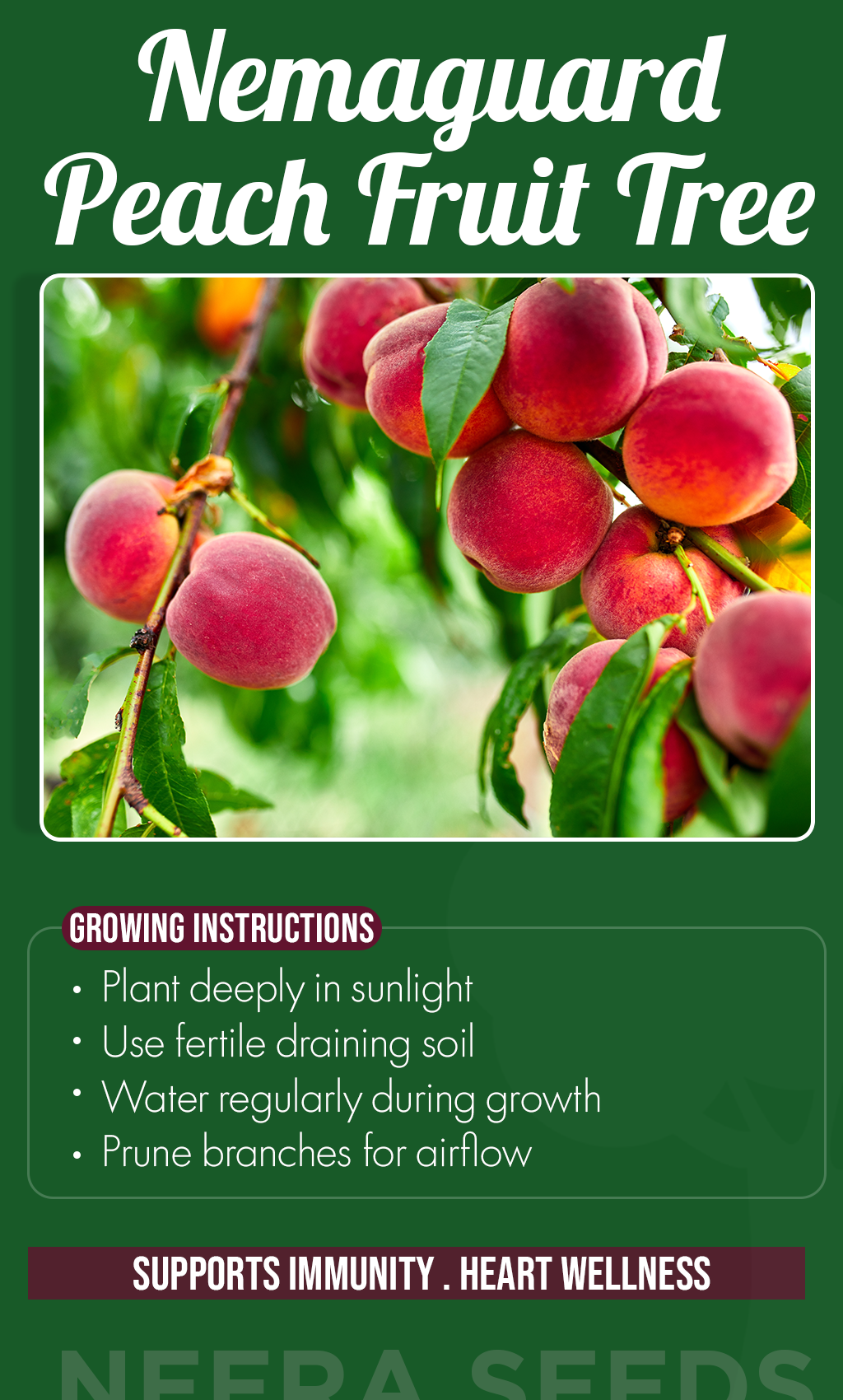 Grow Sweet Summer Harvests: Nemaguard Peach Fruit Tree Seeds for a Thriving Home Orchard