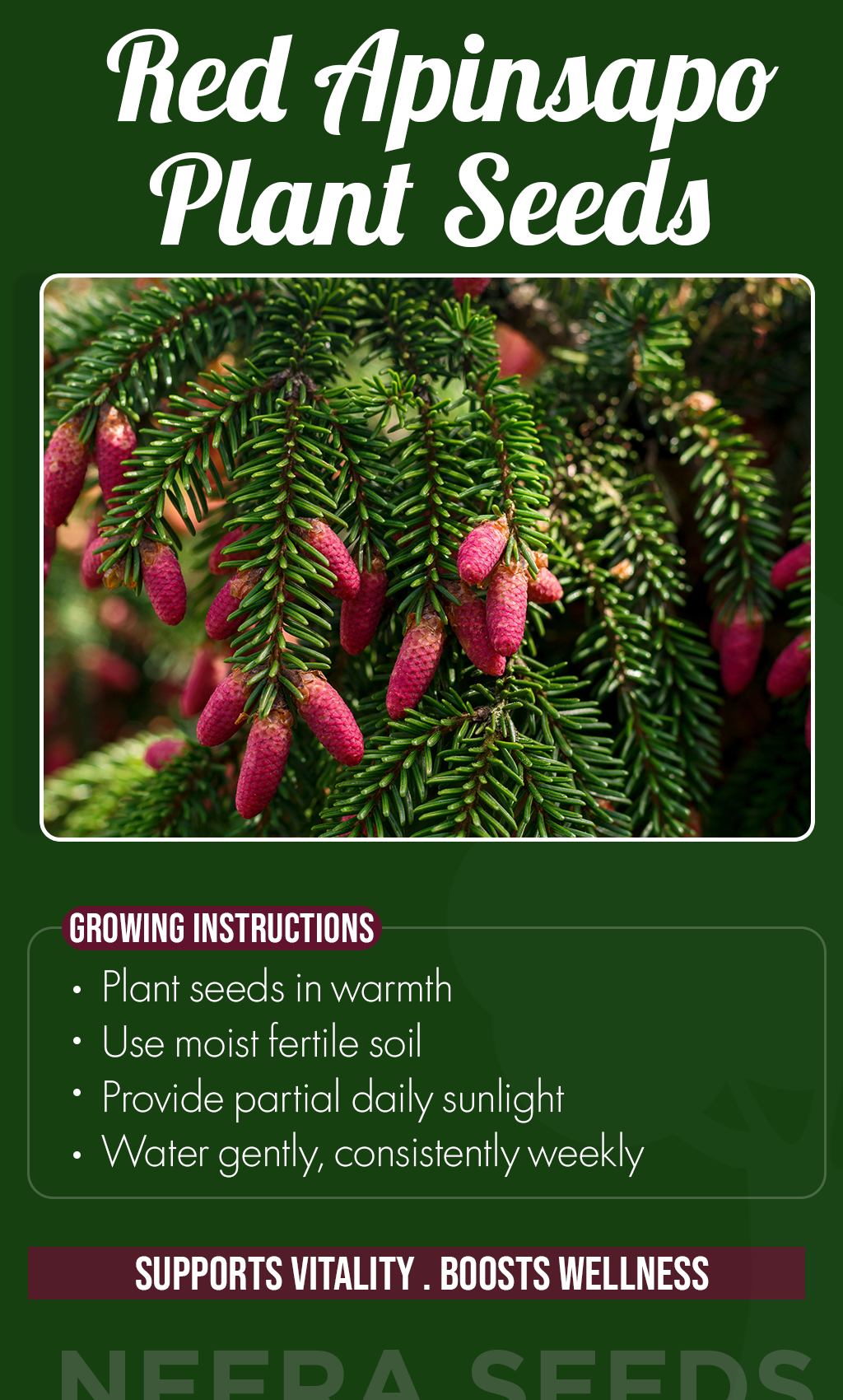 Bring Rare Beauty to Your Garden: Grow Red Apinsapo Plants from Seed This Summer