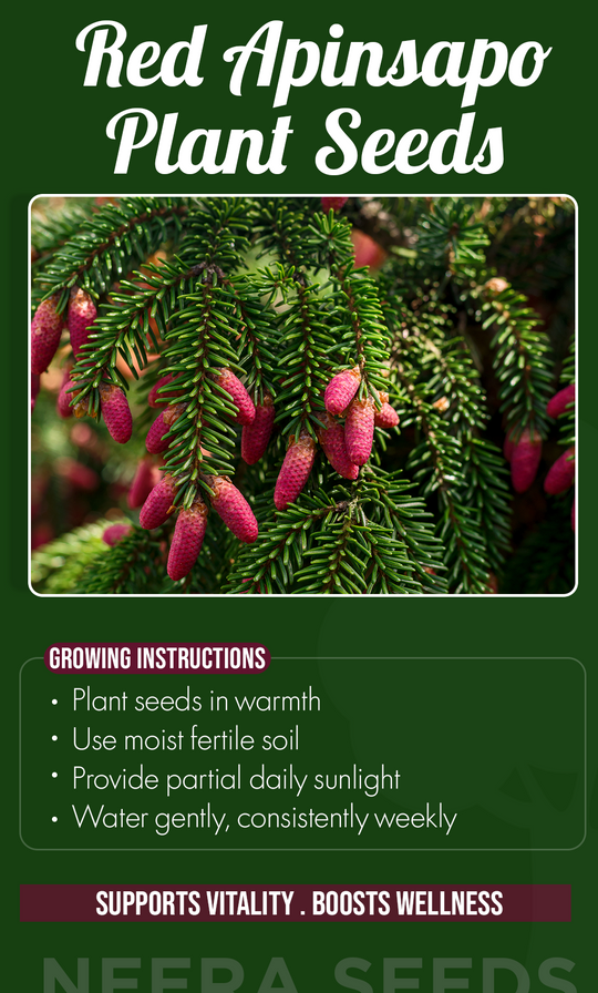 Bring Rare Beauty to Your Garden: Grow Red Apinsapo Plants from Seed This Summer