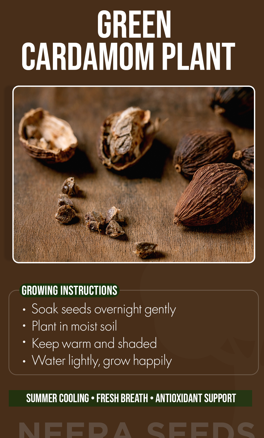 Bring the Aroma of Nature Home: Grow Your Own Green Cardamom Plant from Seed