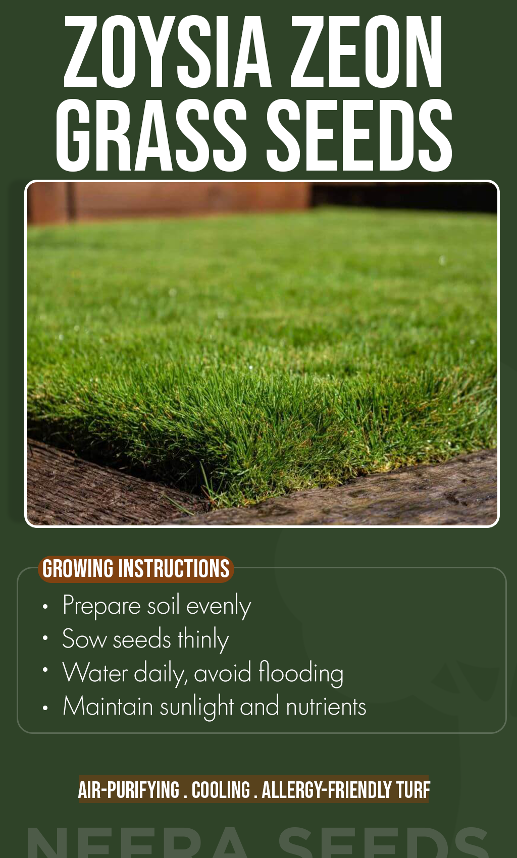 Transform Your Winter Yard: Grow Lush Green Zoysia Zeon Grass
