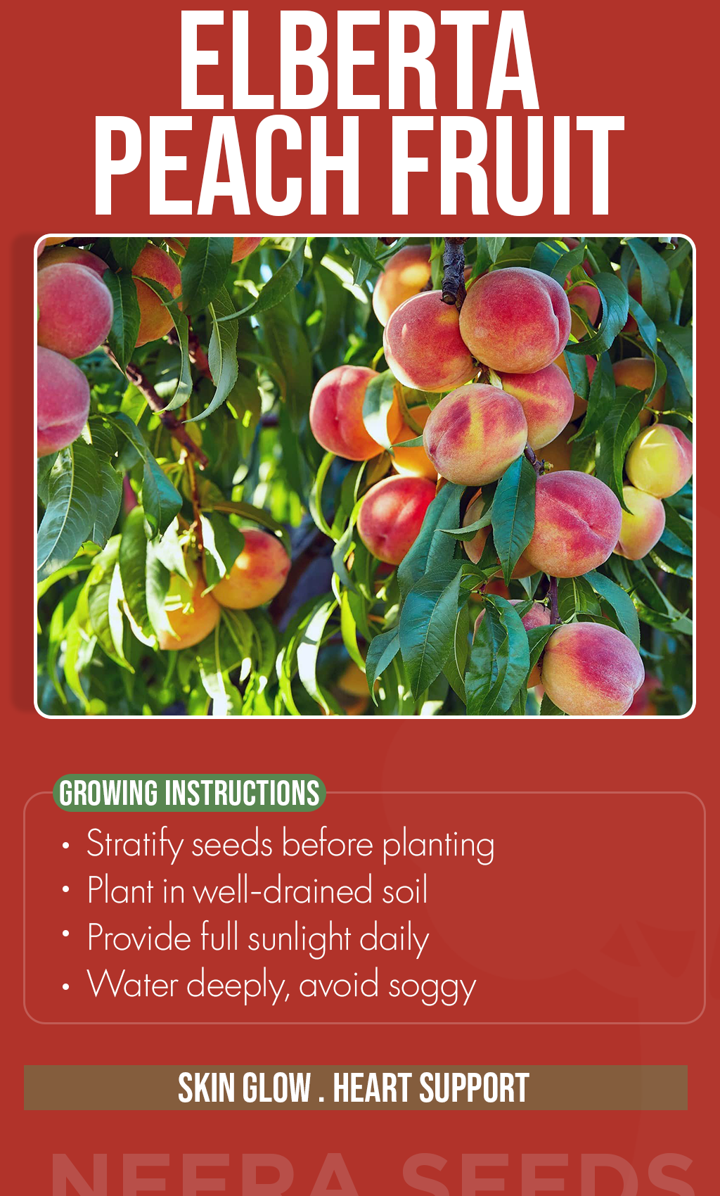 Plant Sweet Memories This Winter: Grow Your Own Elberta Peach Tree