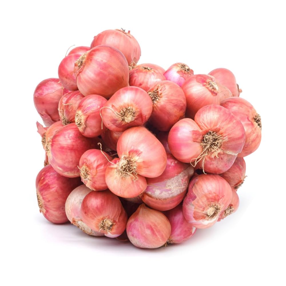 Shallot Seeds