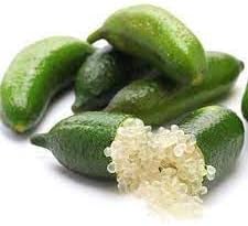 Finger Lime fruit seeds