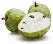 cherimoya fruit seeds