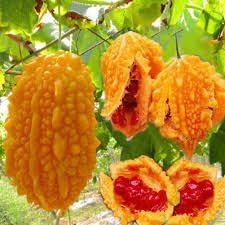 Horned Melon Seeds