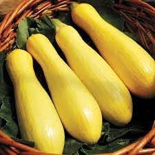 summer squash Seeds