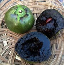 Black Sapote Seeds