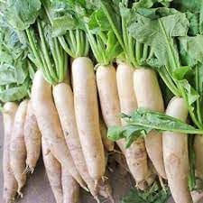 Daikon Radish Seeds