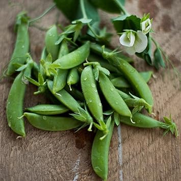 snap peas Seeds