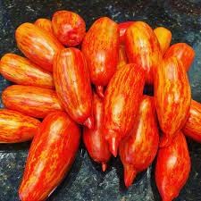 Roma Tomato Seeds