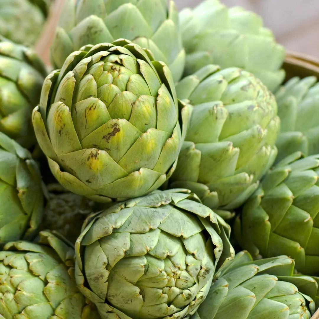 Artichokes Seeds