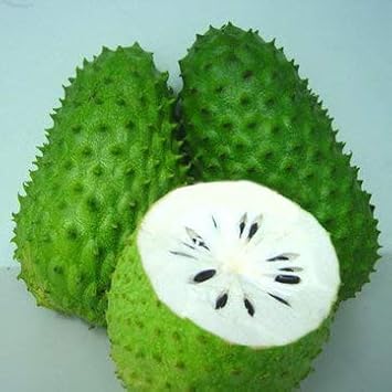 Soursop fruit seeds