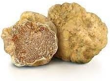 truffles Seeds