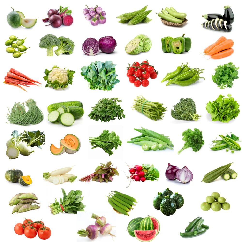 Vegetable Seeds S-Z