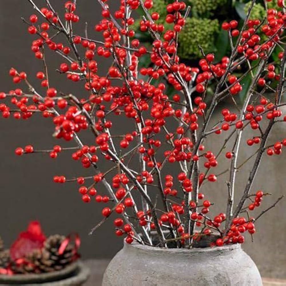 winterberry Holly Seeds