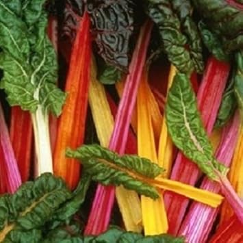 Chard Seeds