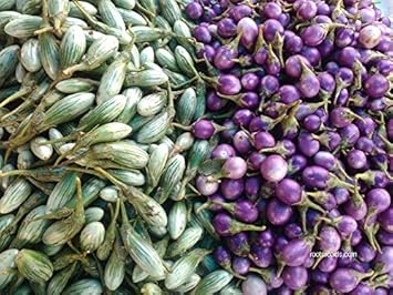 Eggplants Seeds