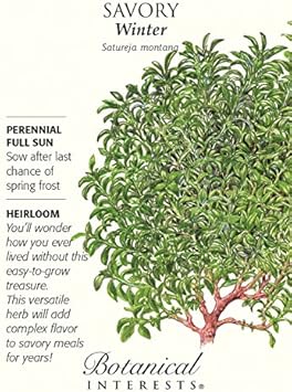 Savory Herb seeds