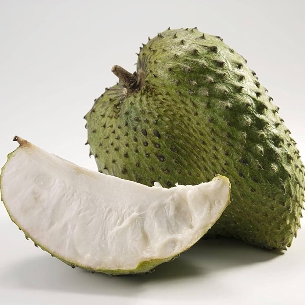 Giant Soursop Fruit Seeds