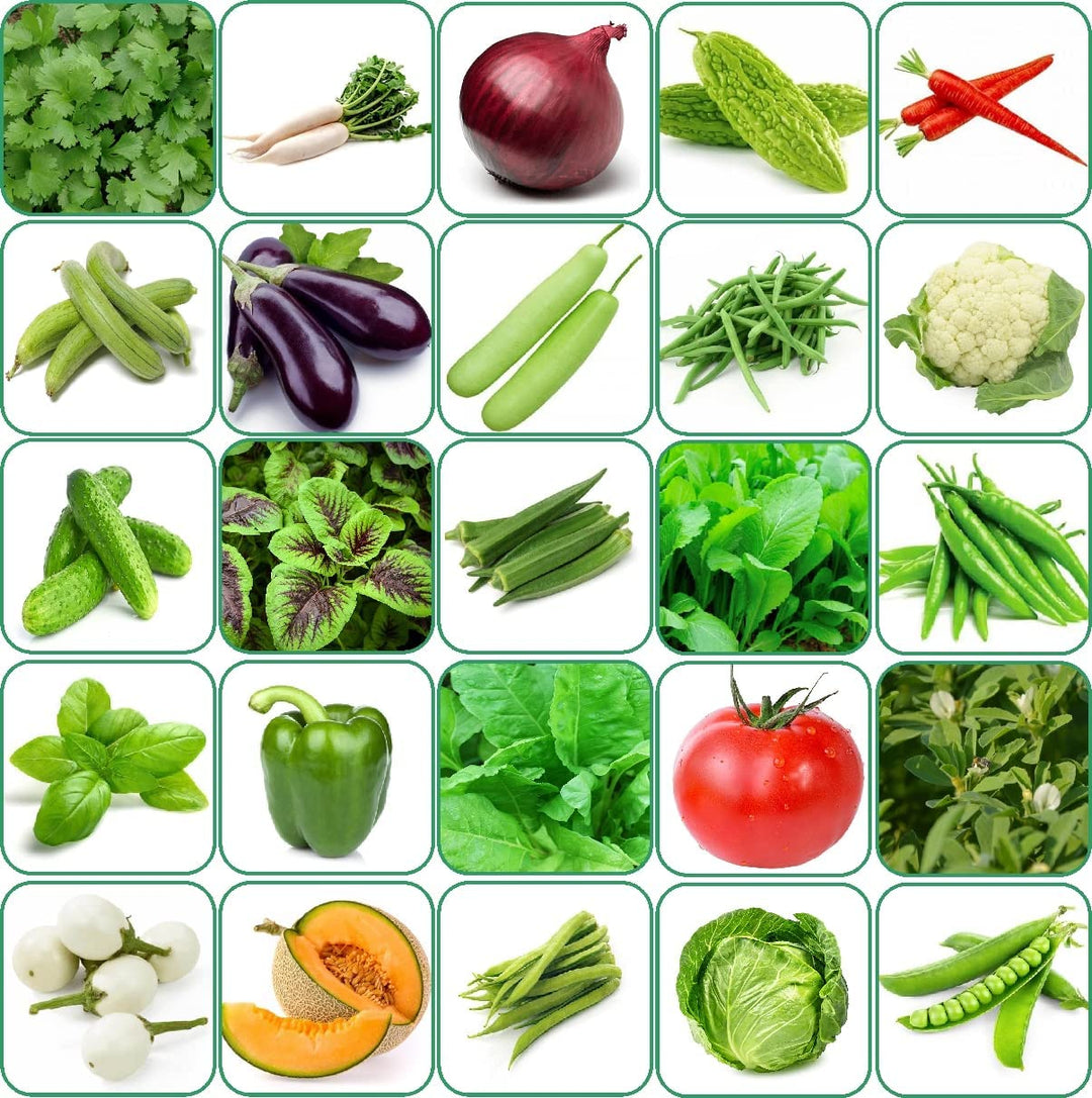 Garden Seeds