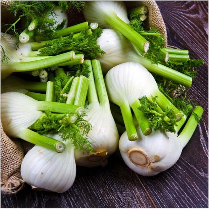 Fennel Seeds