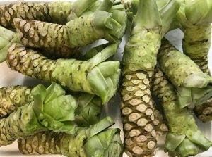 Wasabi Seeds