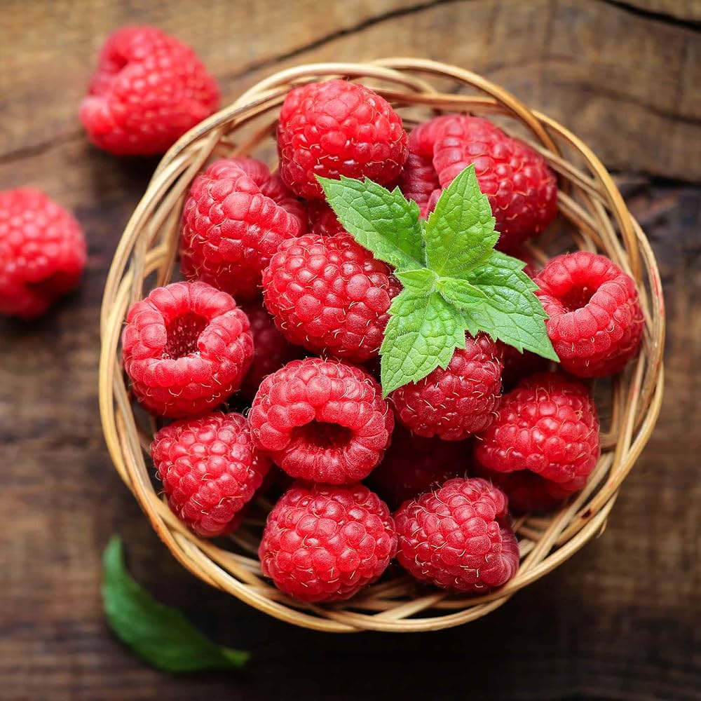 Raspberry Fruit Seeds