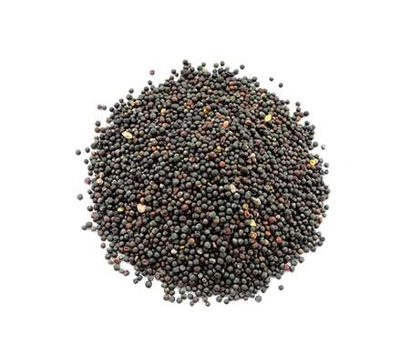 Mustard Seeds