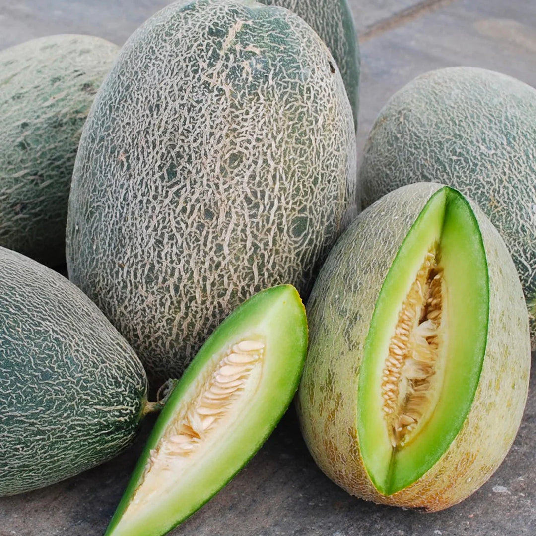 Bateekh Samara Melon Seeds