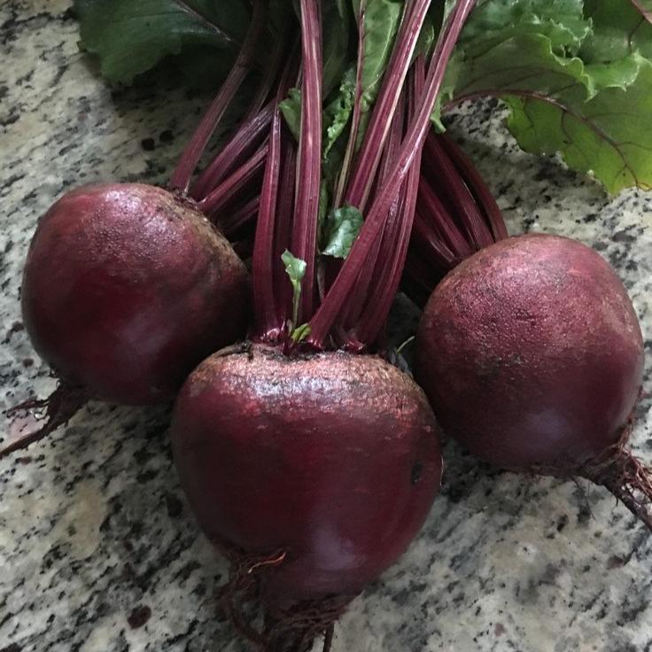 Beet Plant Seeds