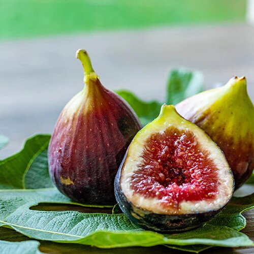 Ficus Carica Fruit Seeds
