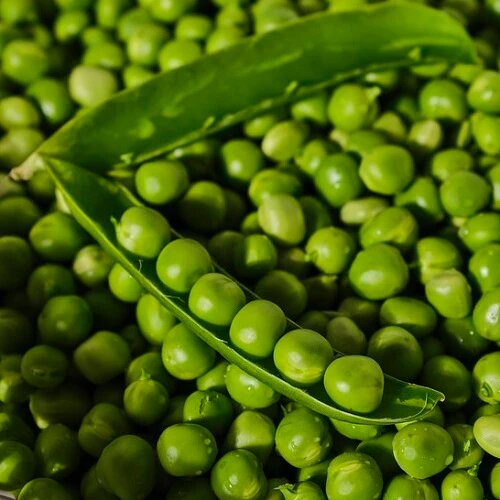 Garden Seeds