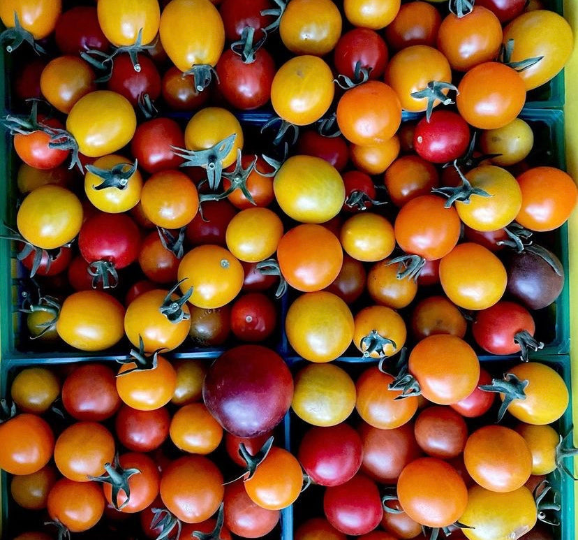 Cherry Tomato Seeds