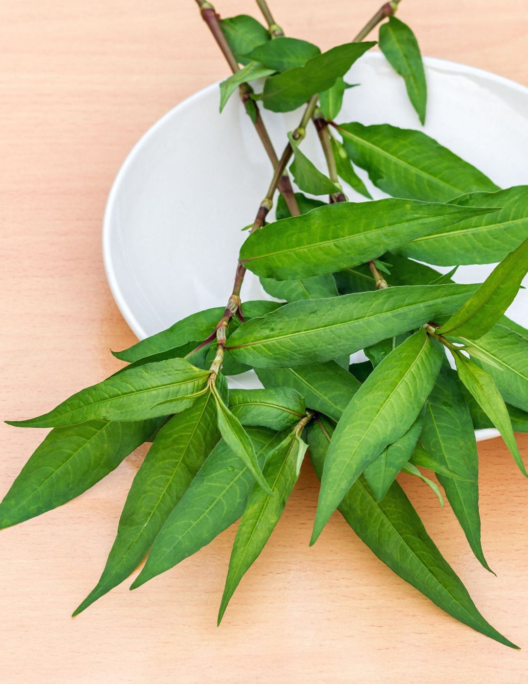 Vietnamese Coriander Plant Seeds