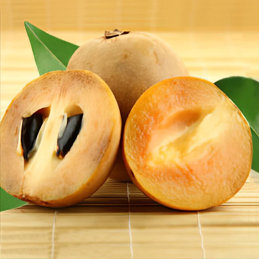 Sapote Fruit Seeds