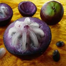 Star Apple fruit seeds
