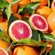 Orange fruit seeds