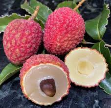 Lychee fruit seeds