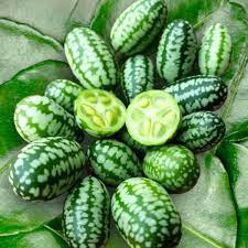 Cucamelon Seeds